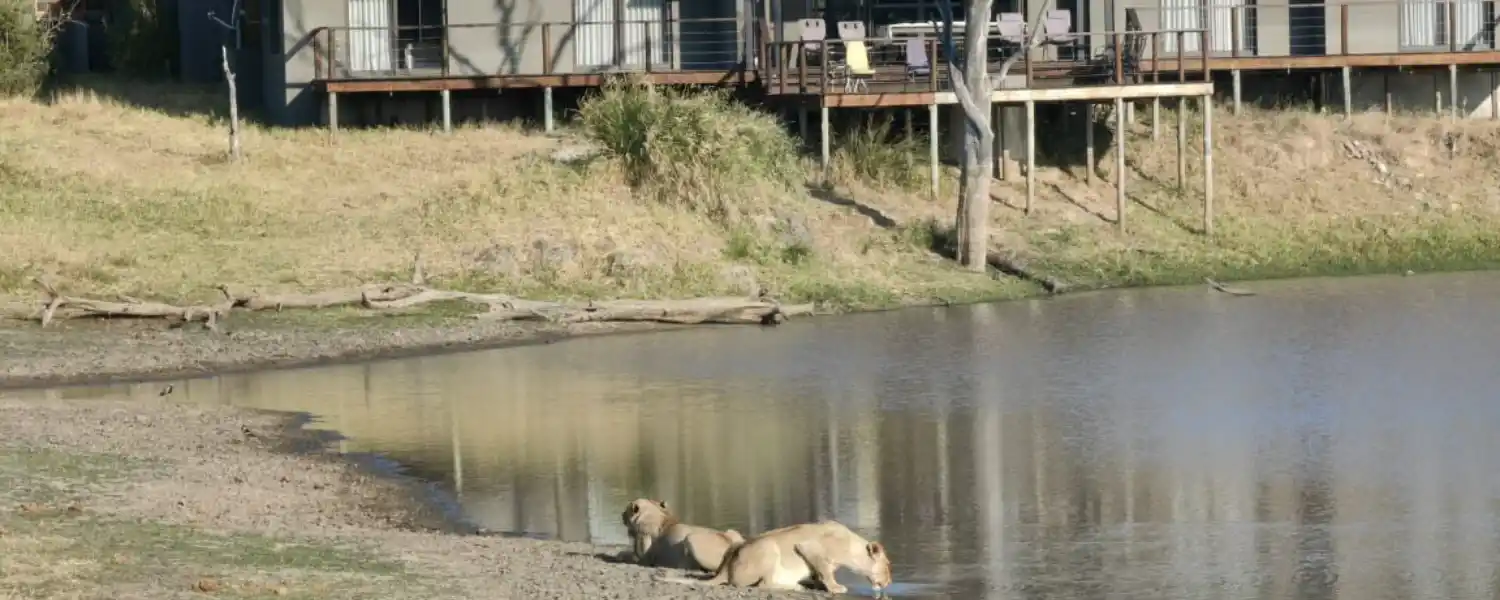 The Kruger Experience-1